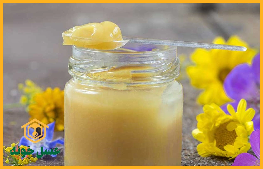 ژل رویال برای چی خوبه | هرآنچه باید در مورد ژل رویال بدانید