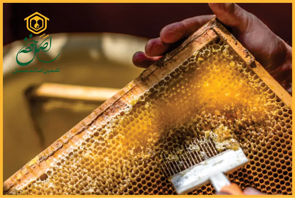 مشخصات عسل خوب و طبیعی چیست