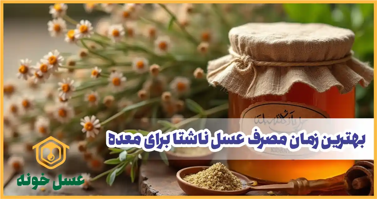 بهترین زمان مصرف عسل برای معده