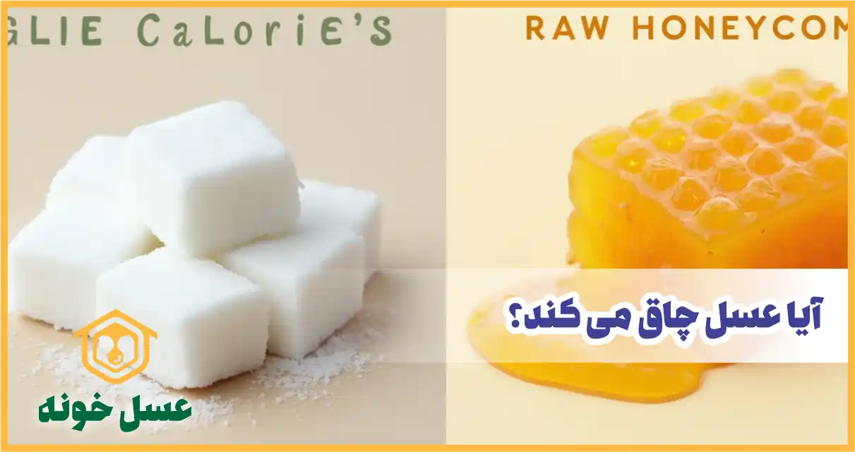 آیا عسل چاق می کند؟