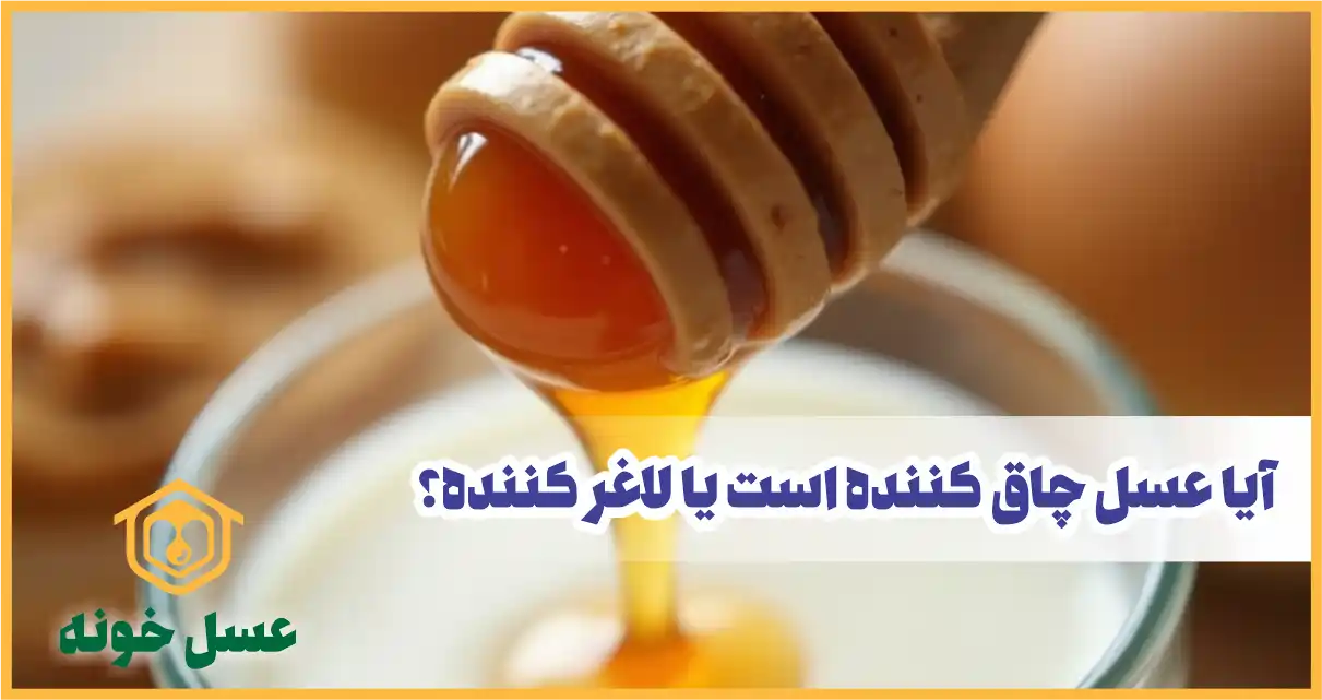 آیا عسل چاق کننده است یا لاغر کننده