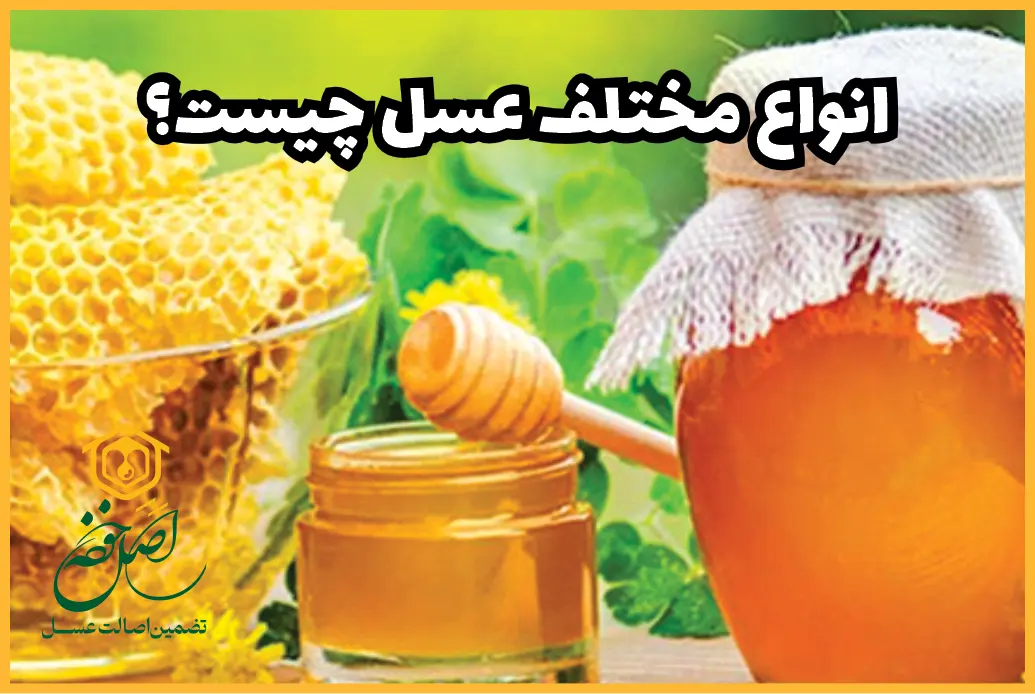 انواع مختلف عسل