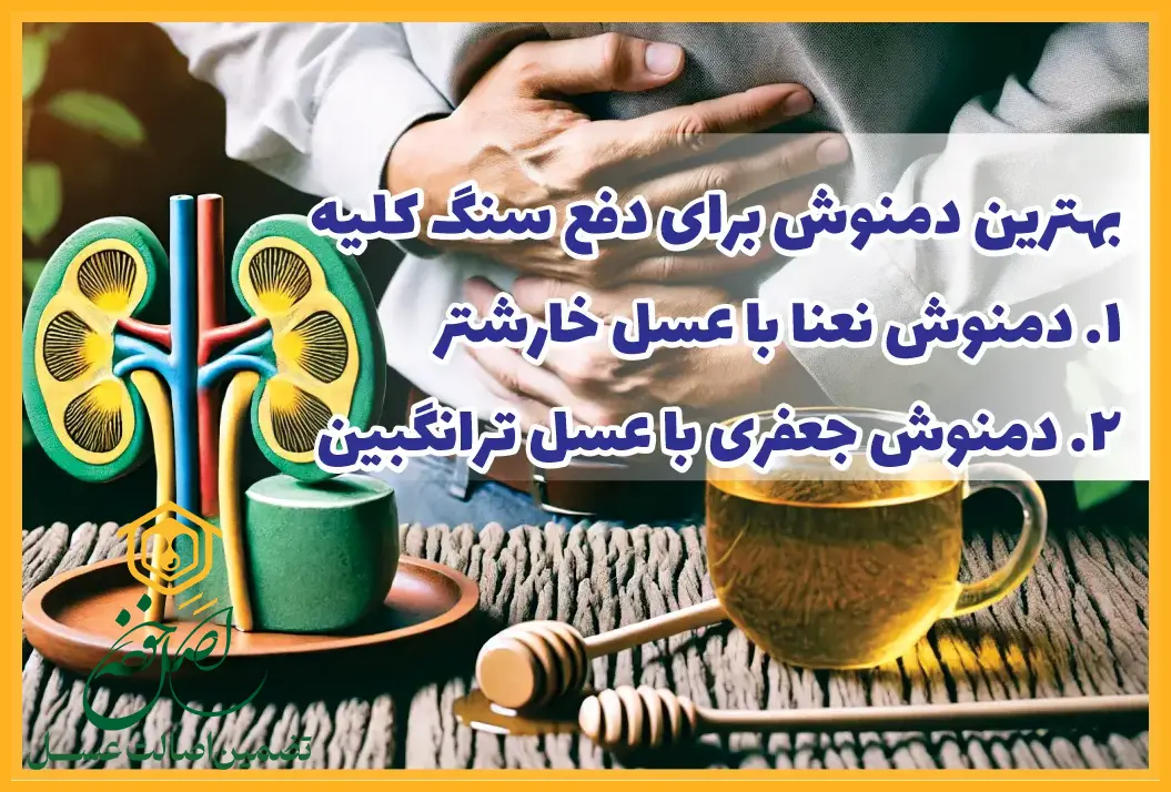 بهترین دمنوش برای سنگ کلیه