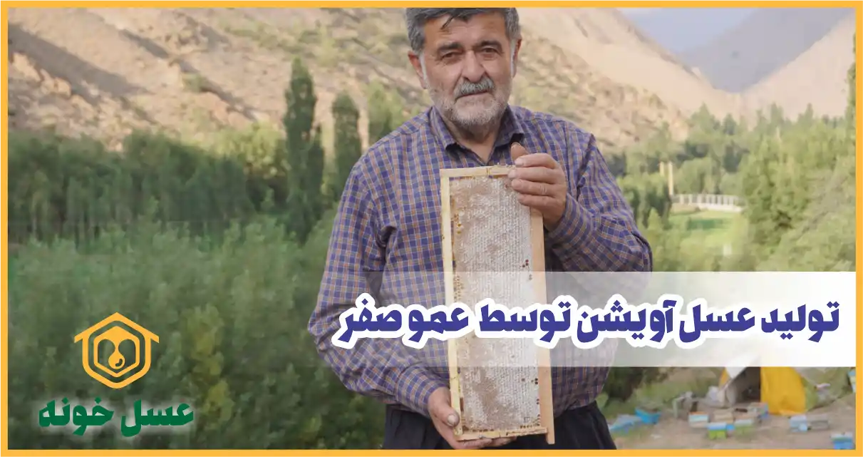 تولید عسل آویشن توسط عمو صفر