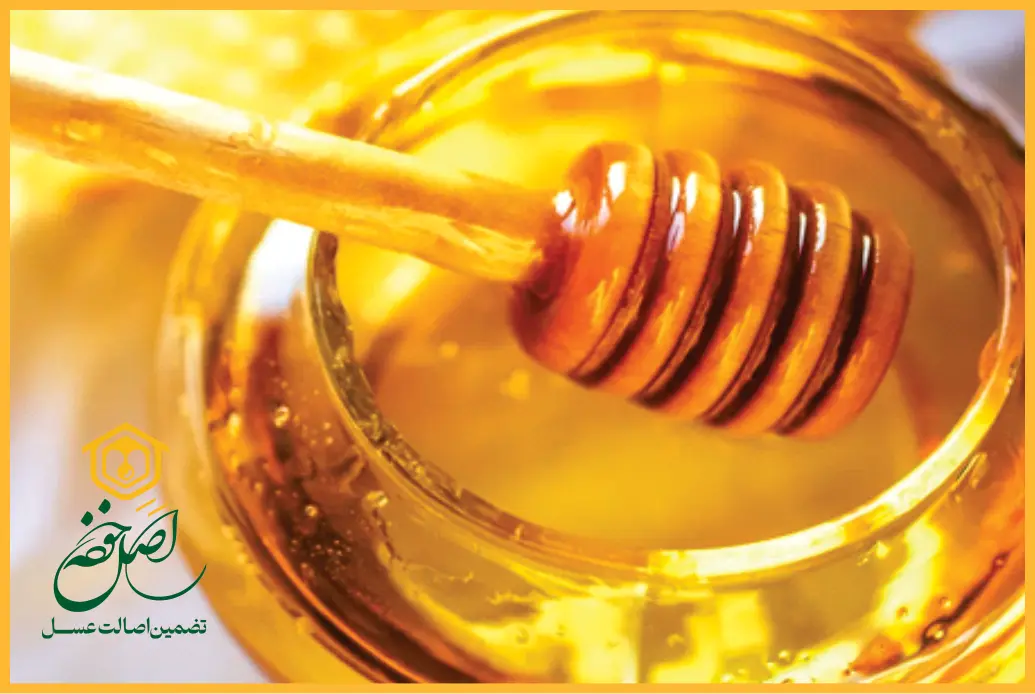 خواص بی‌نظیر عسل طبیعی مازندران