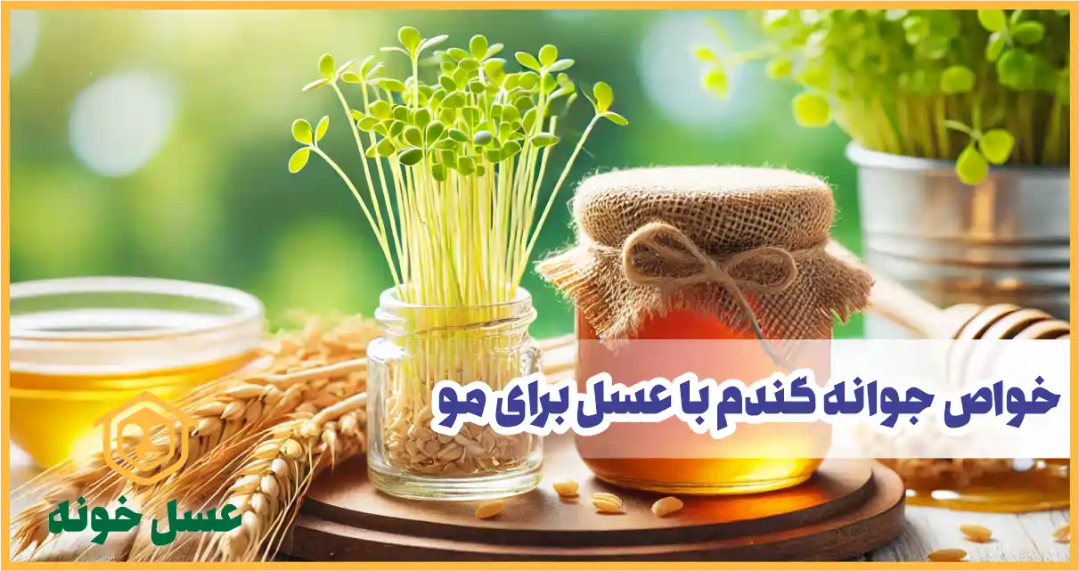 خواص جوانه گندم و عسل برای مو