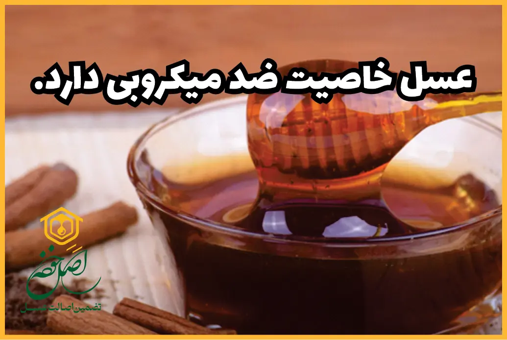 خواص ضد میکروبی عسل