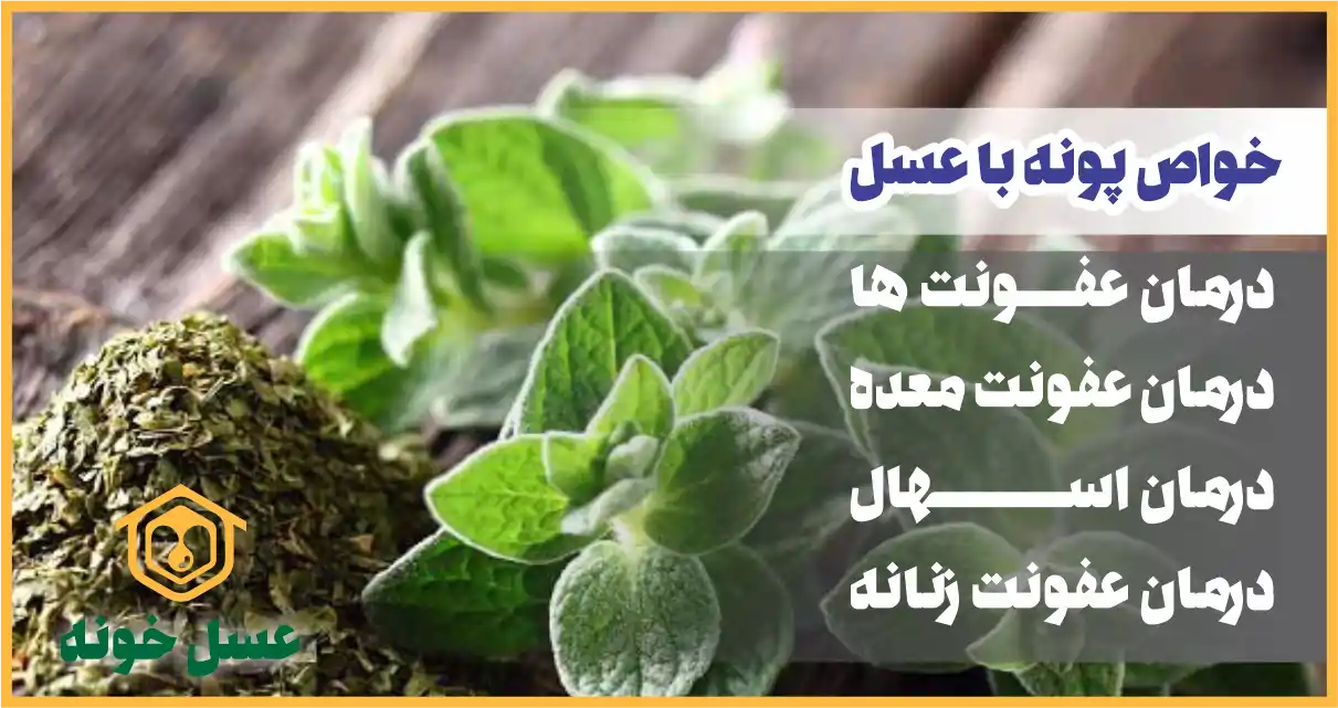  دمنوش پونه با عسل 