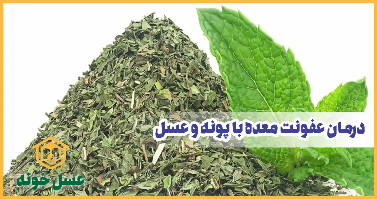 درمان عفونت‌های گوارشی با دمنوش پونه و عسل