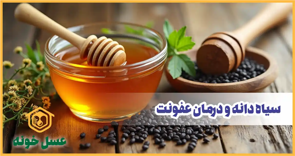 درمان عفونت با سیاه دانه