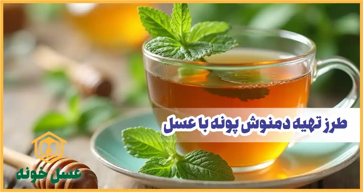 طرز تهیه دمنوش پونه با عسل