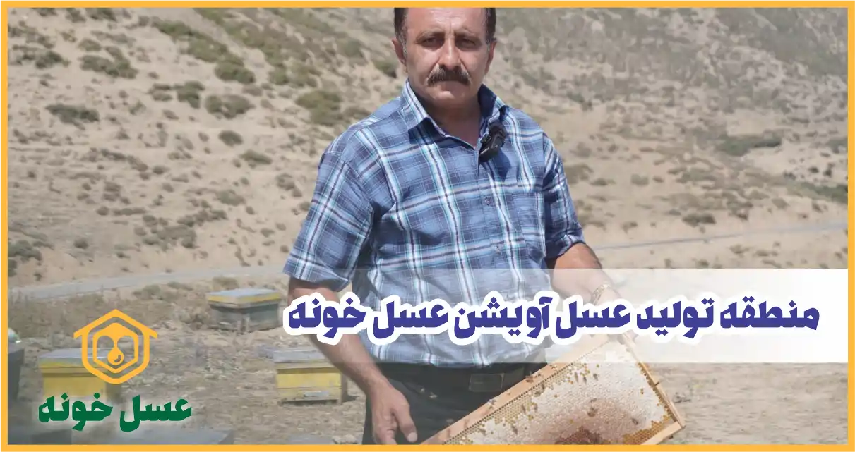 عسل آویشن عسل خونه