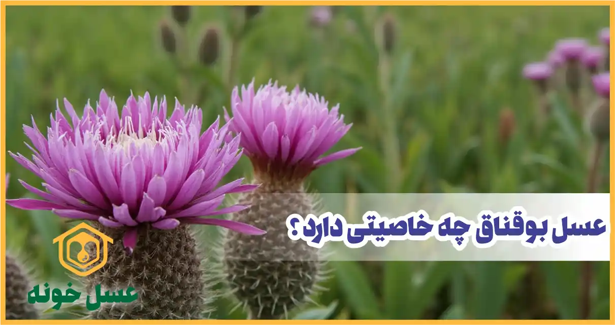 عسل بوقناق چه خاصیتی دارد