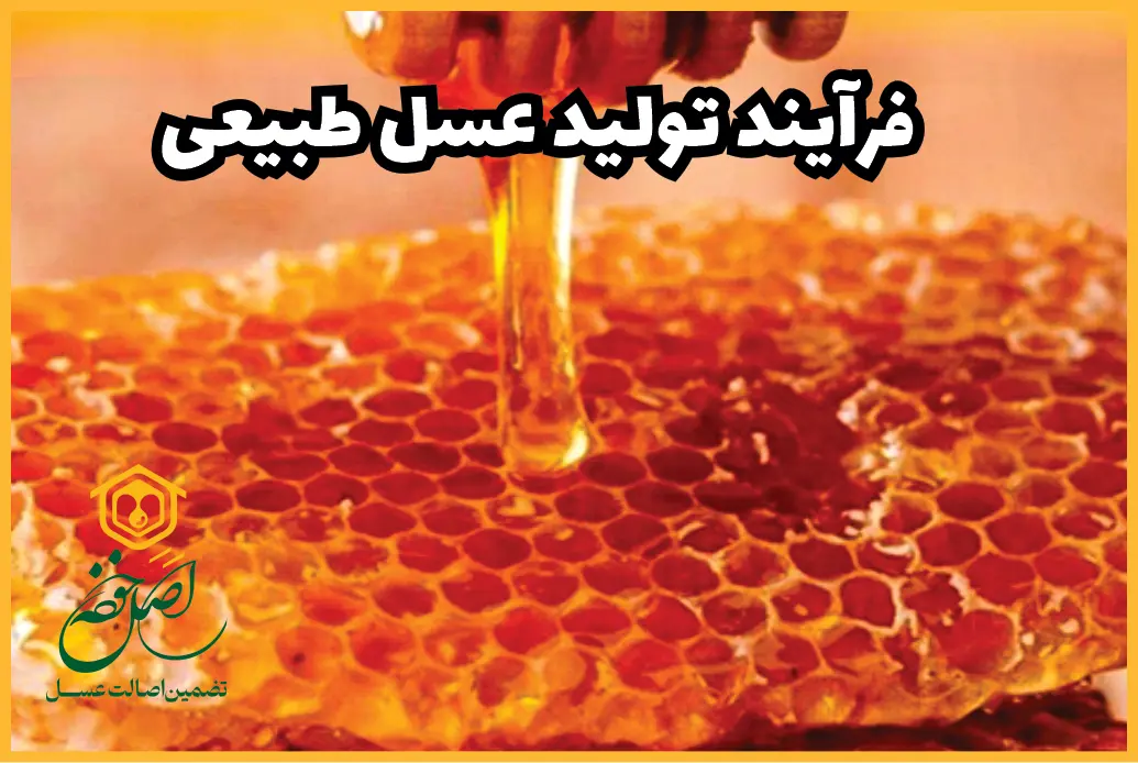 فرایند تولید عسل طبیعی