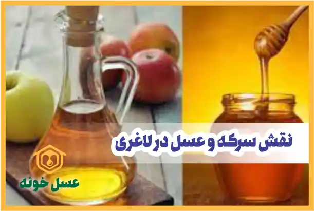 سرکه و عسل در لاغری
