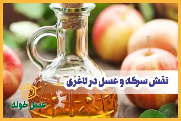 نقش سرکه و عسل در لاغری