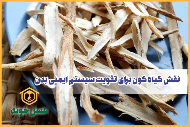 نقش گیاه گون برای تقویت سیستم ایمنی بدن