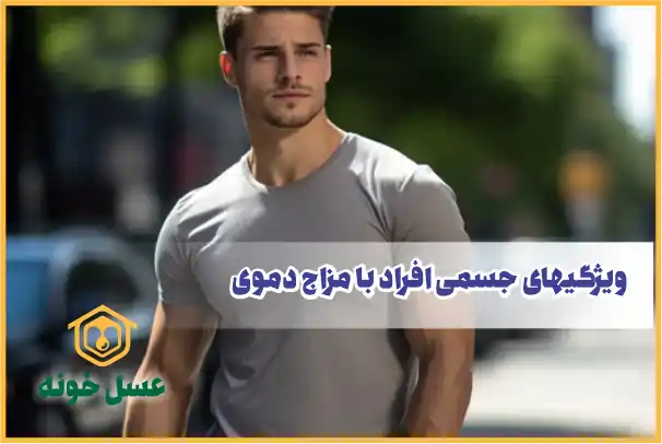 ویژگی‌های جسمی افراد با مزاج دموی