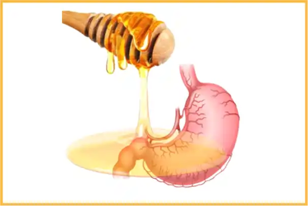 کدام عسل برای معده خوب است