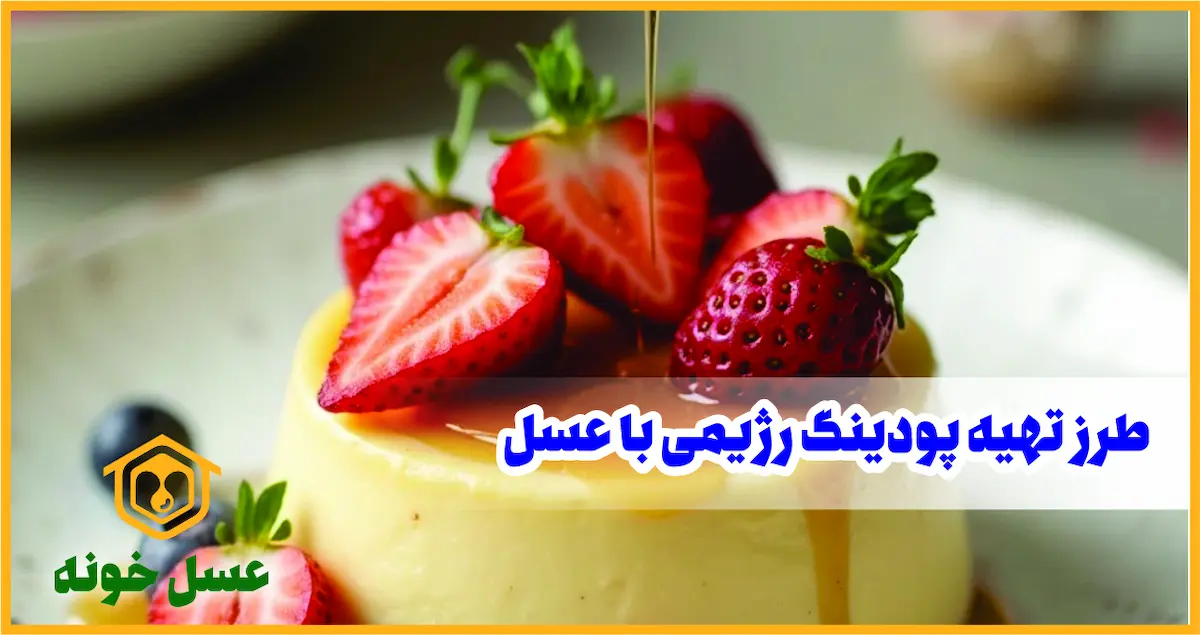 طرز تهیه پودینگ رژیمی با عسل