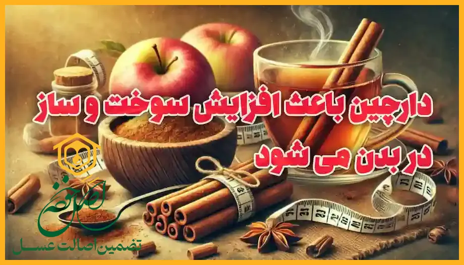 خواص دارچین برای لاغری