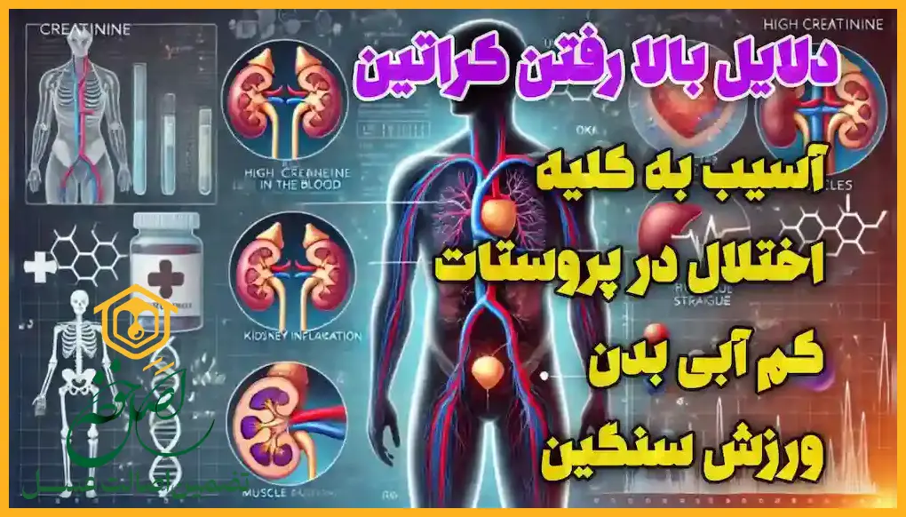 کراتین بالا