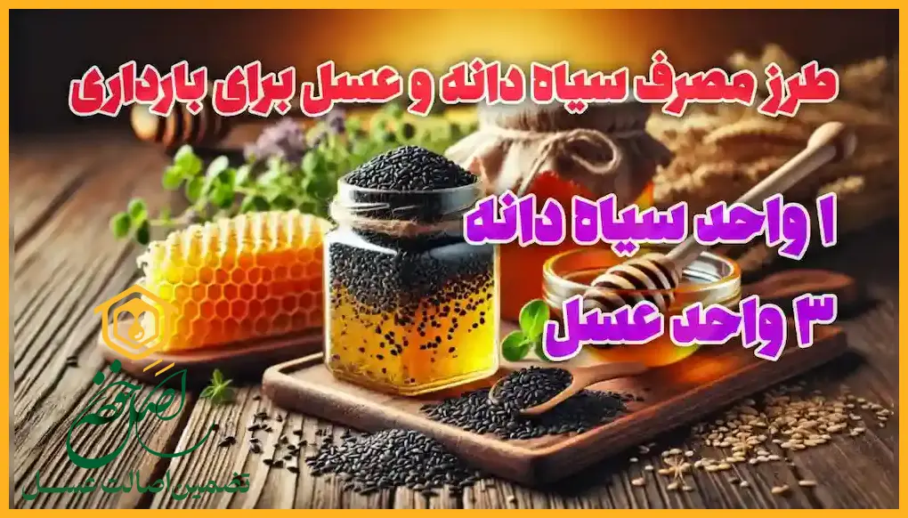 زمان مصرف سیاه دانه و عسل برای بارداری