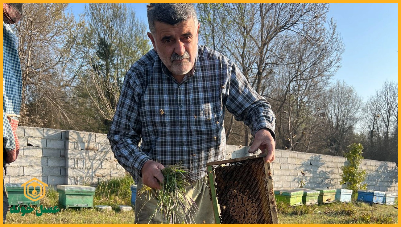قیمت عسل ارگانیک
